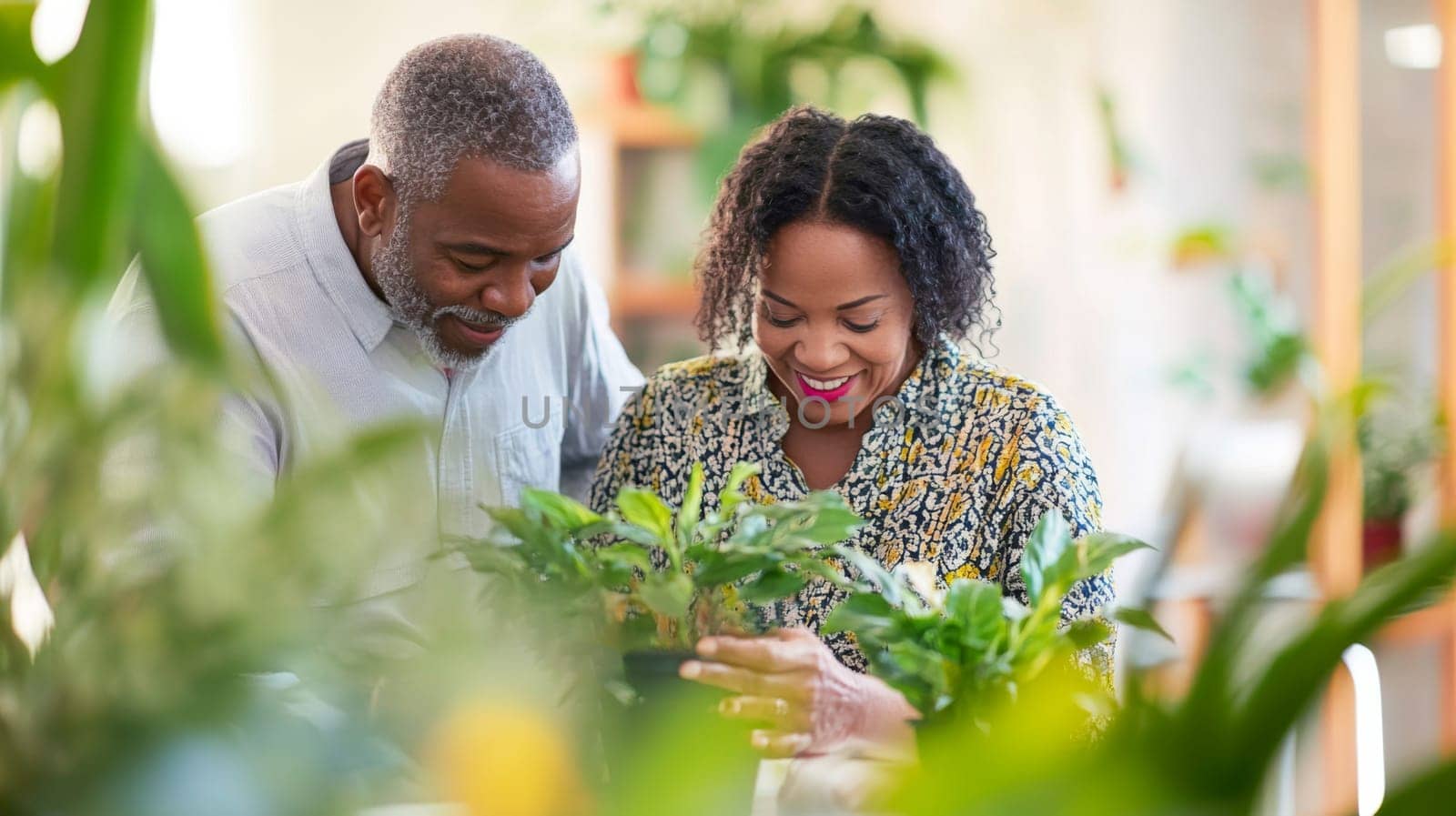 Couple caring houseplants at home. African american mature man and woman with green plants. AI Generated