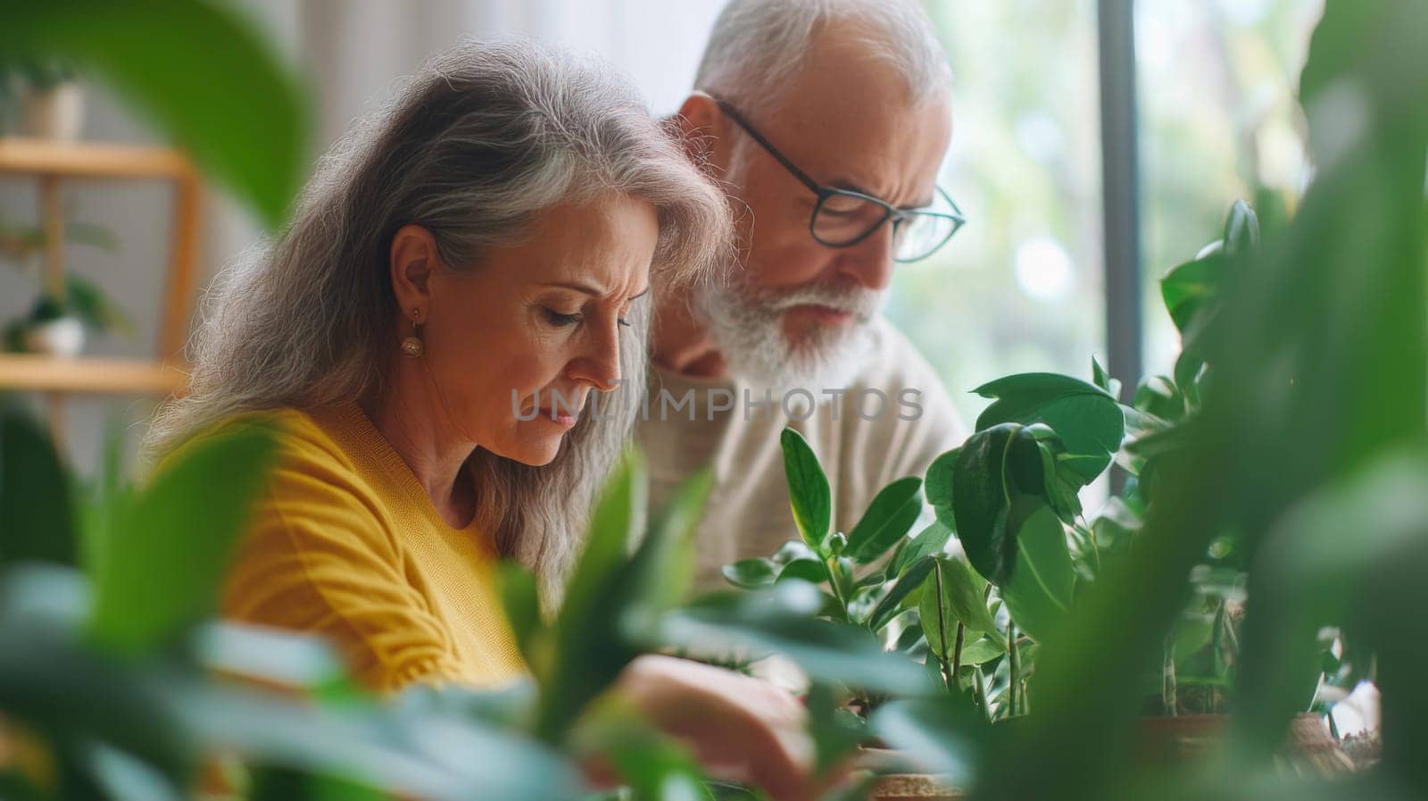 Couple caring houseplants at home. Caucasian mature man and woman with green plants, AI Generated