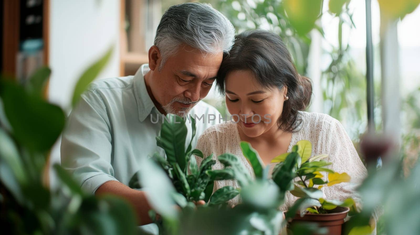 Couple caring houseplants at home. Asian mature man and woman with green plants. AI Generated