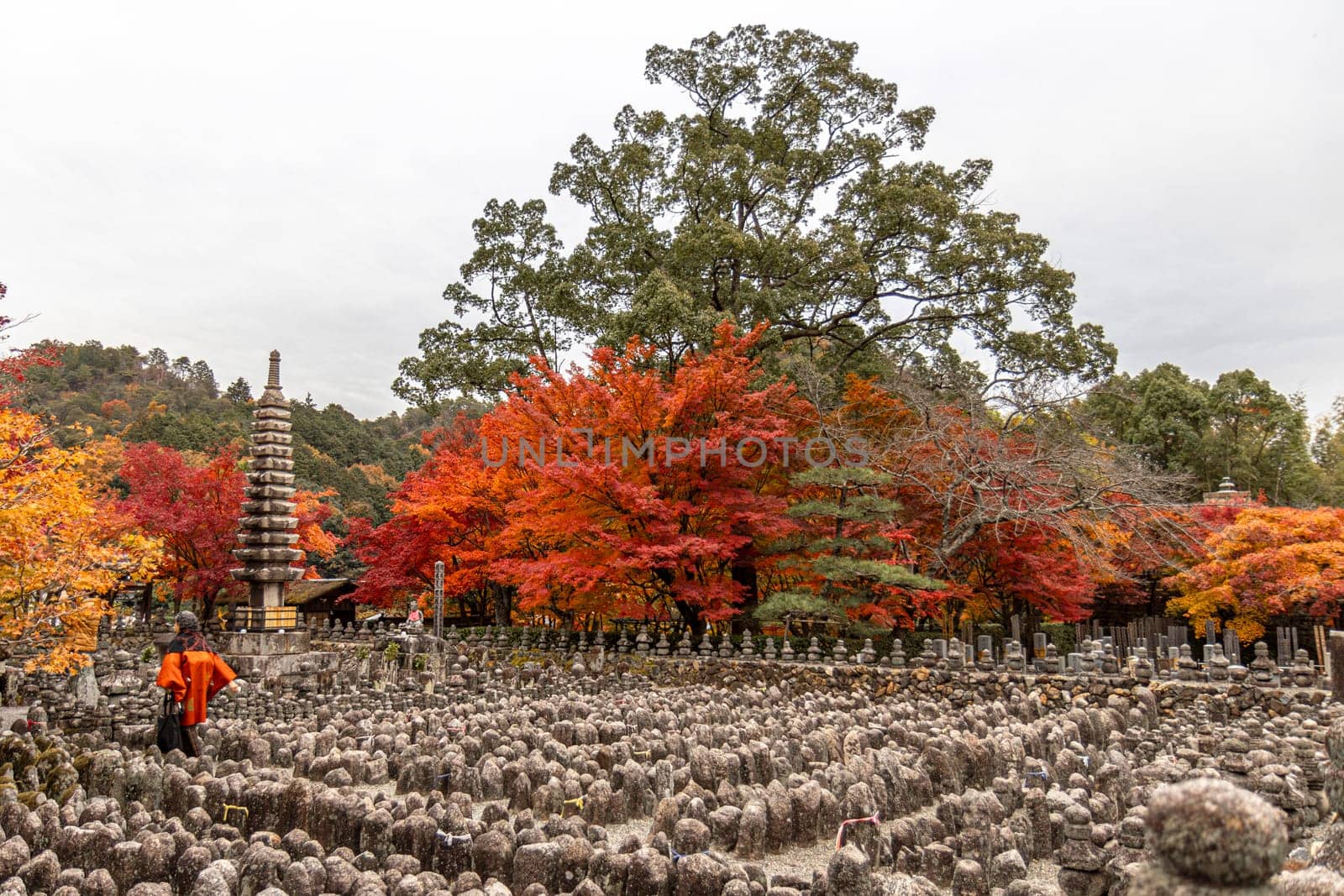 stone statues pagoda  colorful autumn foliage nenbutsu ji temple kyoto