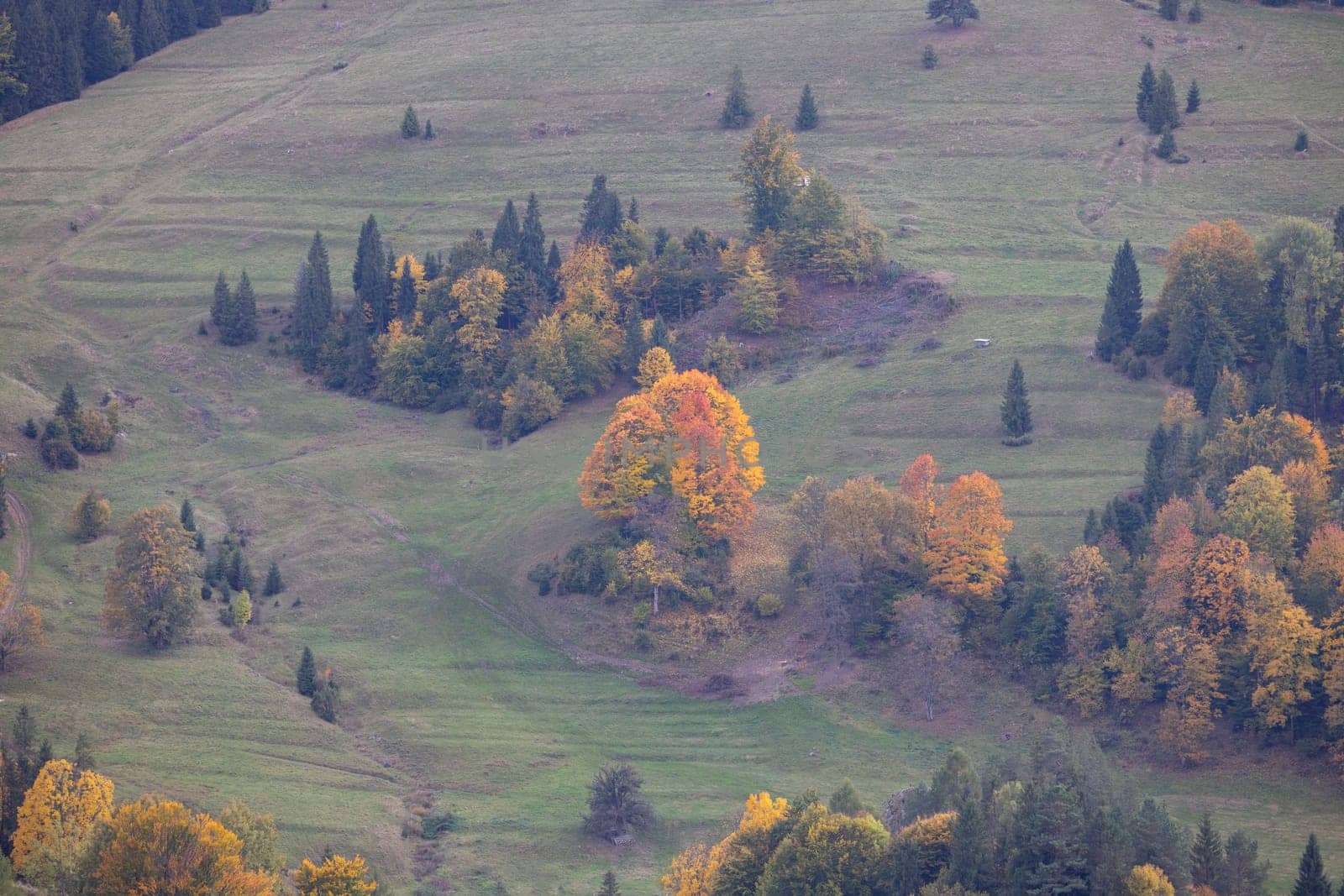 Picturesque view of the autumn landscape in the Pieniny Mountains, colorful leaves on the trees, Szczawnica, Poland. It is time of polish golden autumn