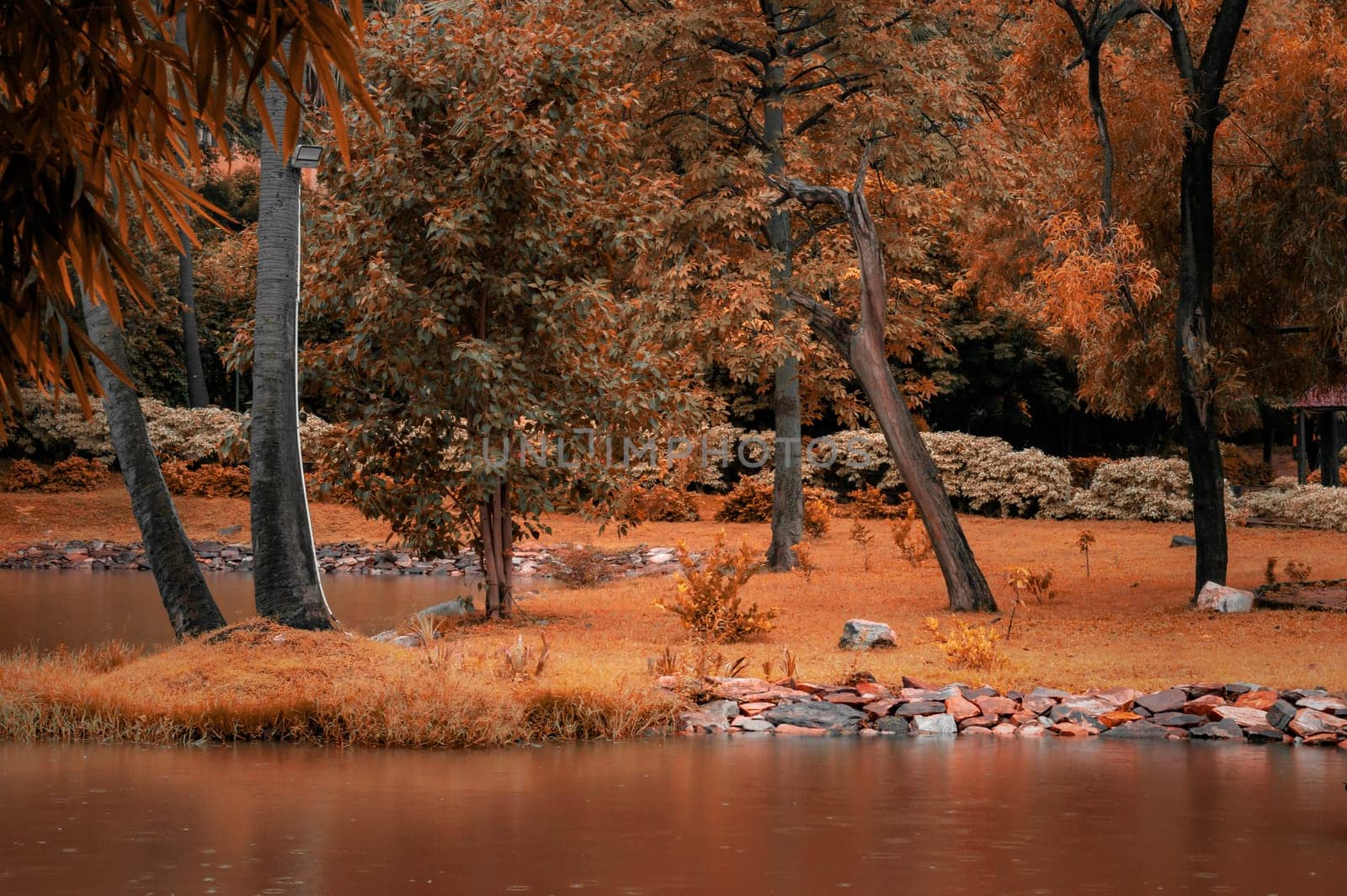 Let the colors of the season inspire you with this stunning autumn tree pond landscape view