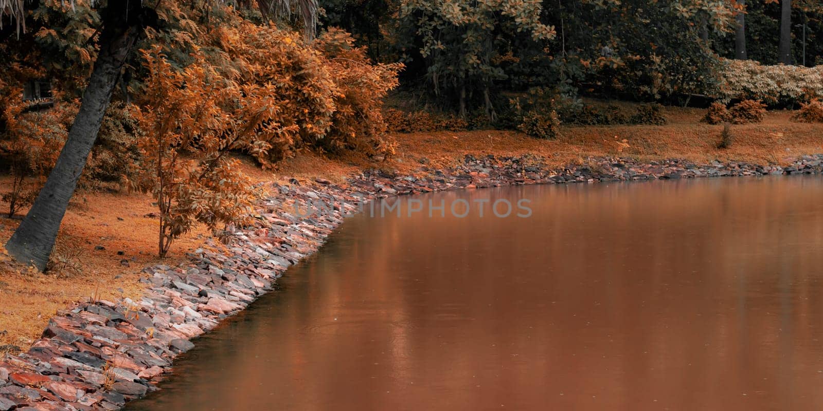 Embrace the beauty of autumn with this tranquil forest pond landscape.