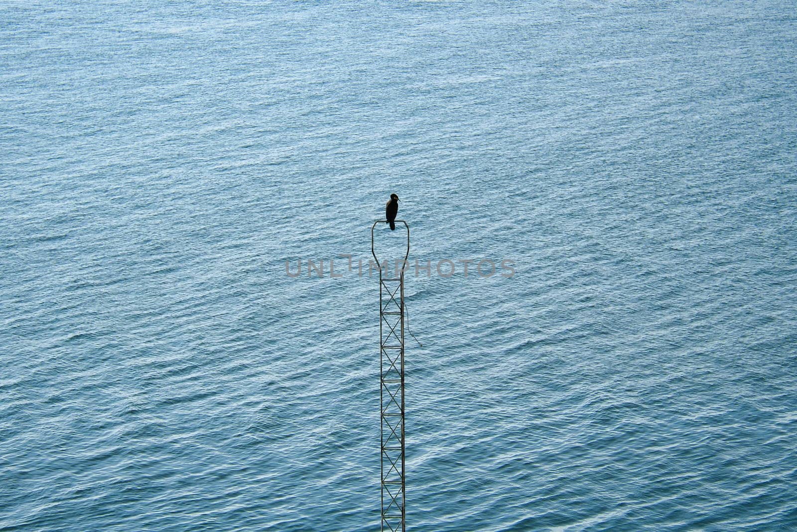 A black cormorant bird on a metal, narrow structure above a calm water surface. The background is characterized by wavy, blue water.