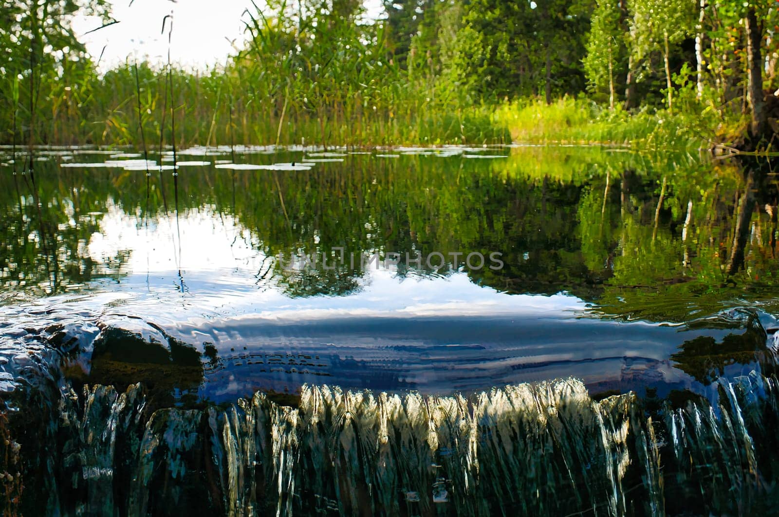 Waterfall in front of a lake in Sweden. Water lilies and reeds in the water. Trees on the shore. Scandinavian nature