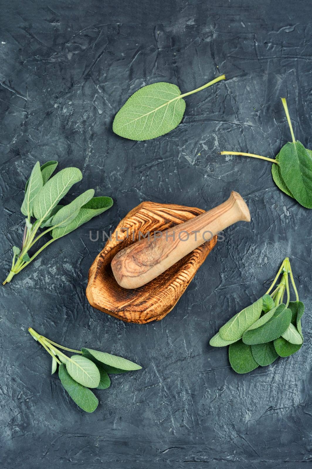 Fresh sage, Salvia officinalis and mortar with pestle.
