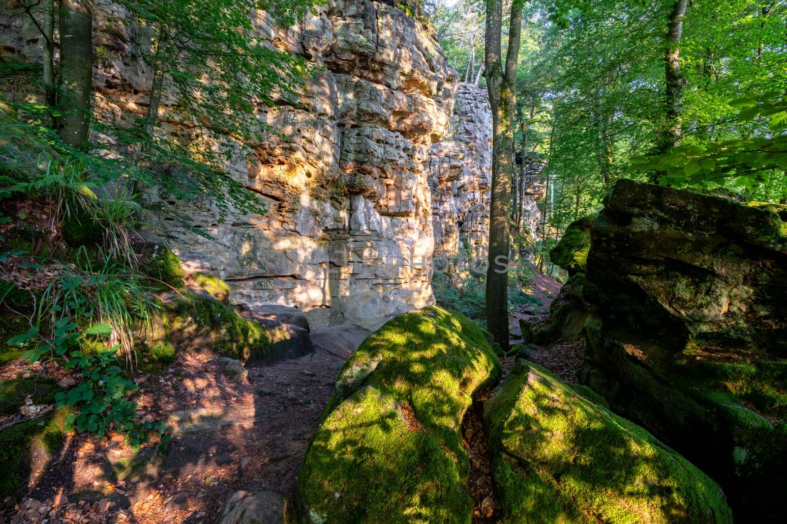 Panoramic landscape close to Trier, Eifel, Rhineland-Palatinate, Germany