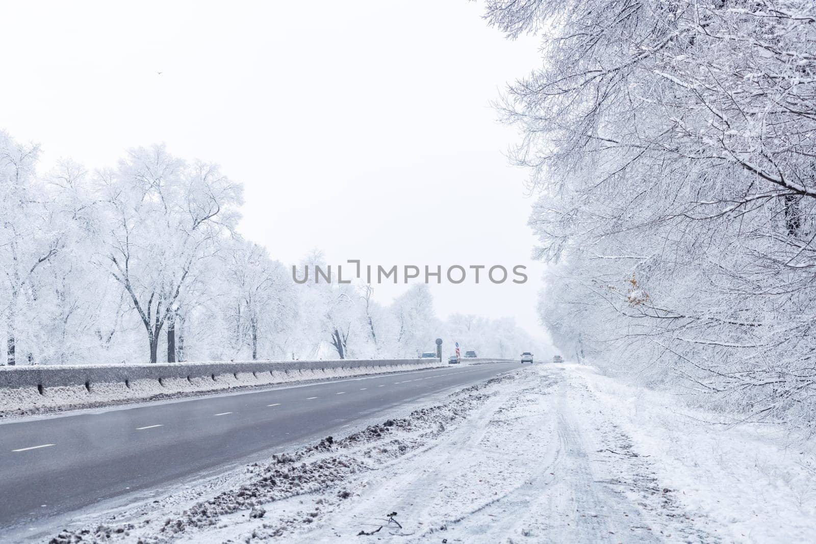 winter interstate road with snow covered trees at overcast day.