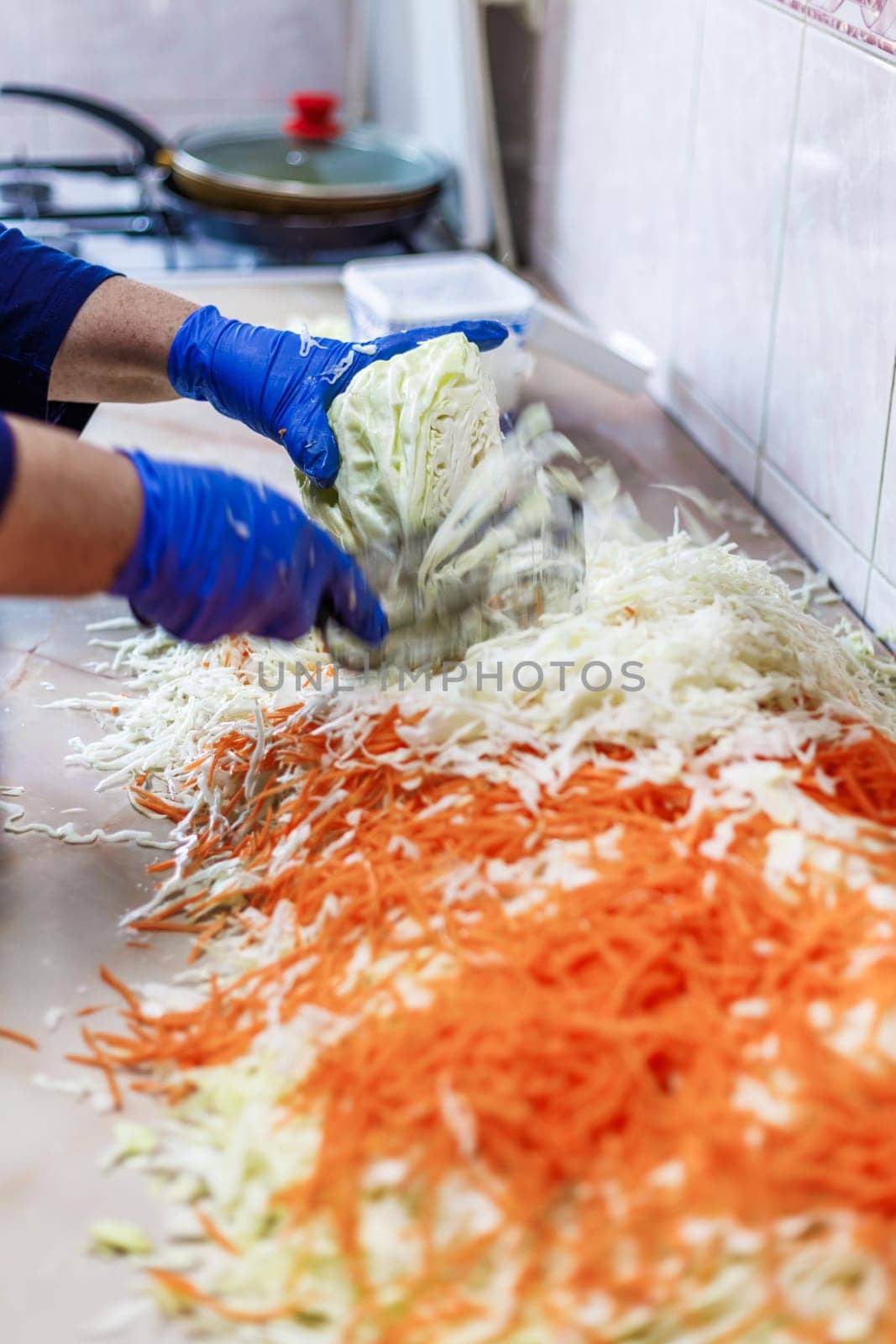 hands in blue gloves cutting cabbage with special double blade slit cabbage shredder knife during sauerkraut preparation