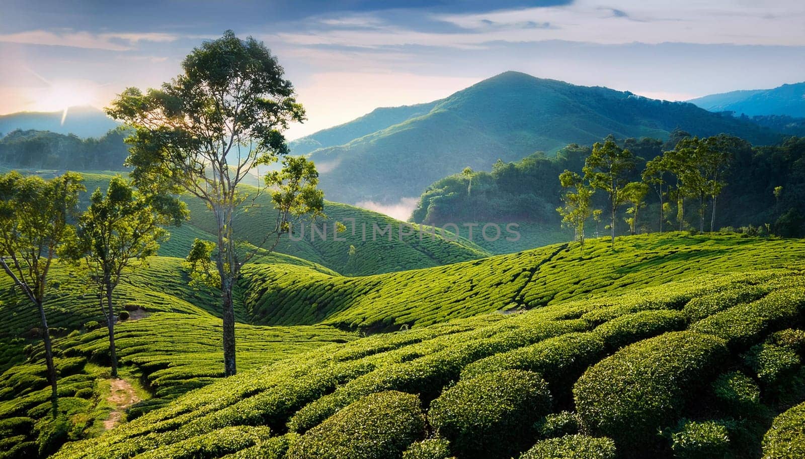 field of tea plants, AI generated image