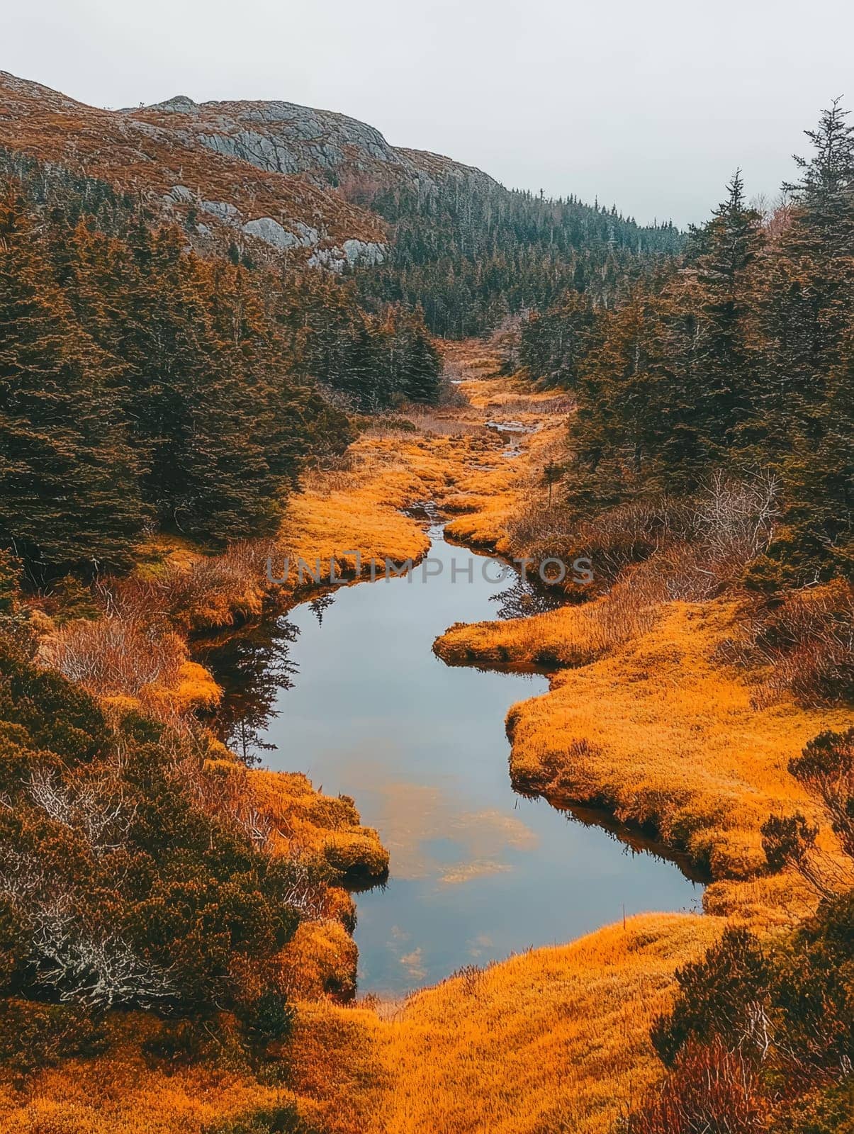 Winding stream cutting through a vibrant autumn landscape with golden grasses and evergreen trees, surrounded by misty mountains.