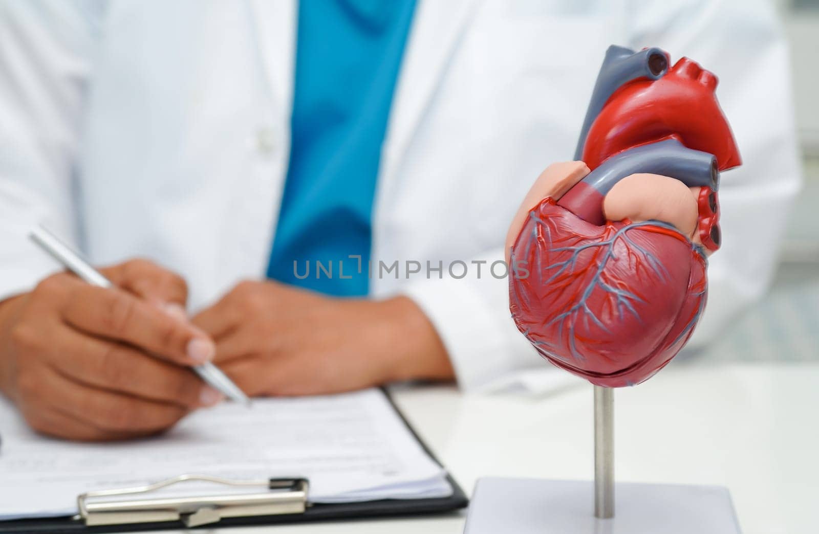 Cardiovascular disease CVD, doctor with heart human model anatomy for treatment patient in hospital.