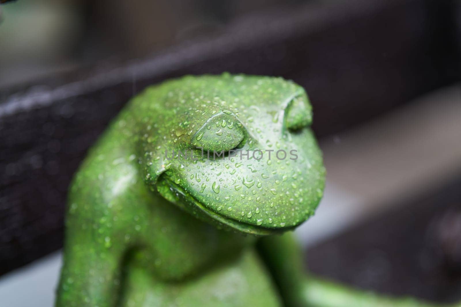 green wet frog as decoration with many raindrops in a garden in heavy rain