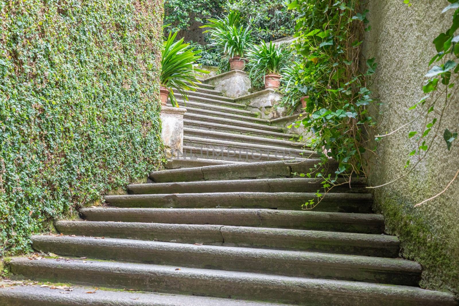 Old staircase in nature. Garden architecture design, green natural path with historic pavement