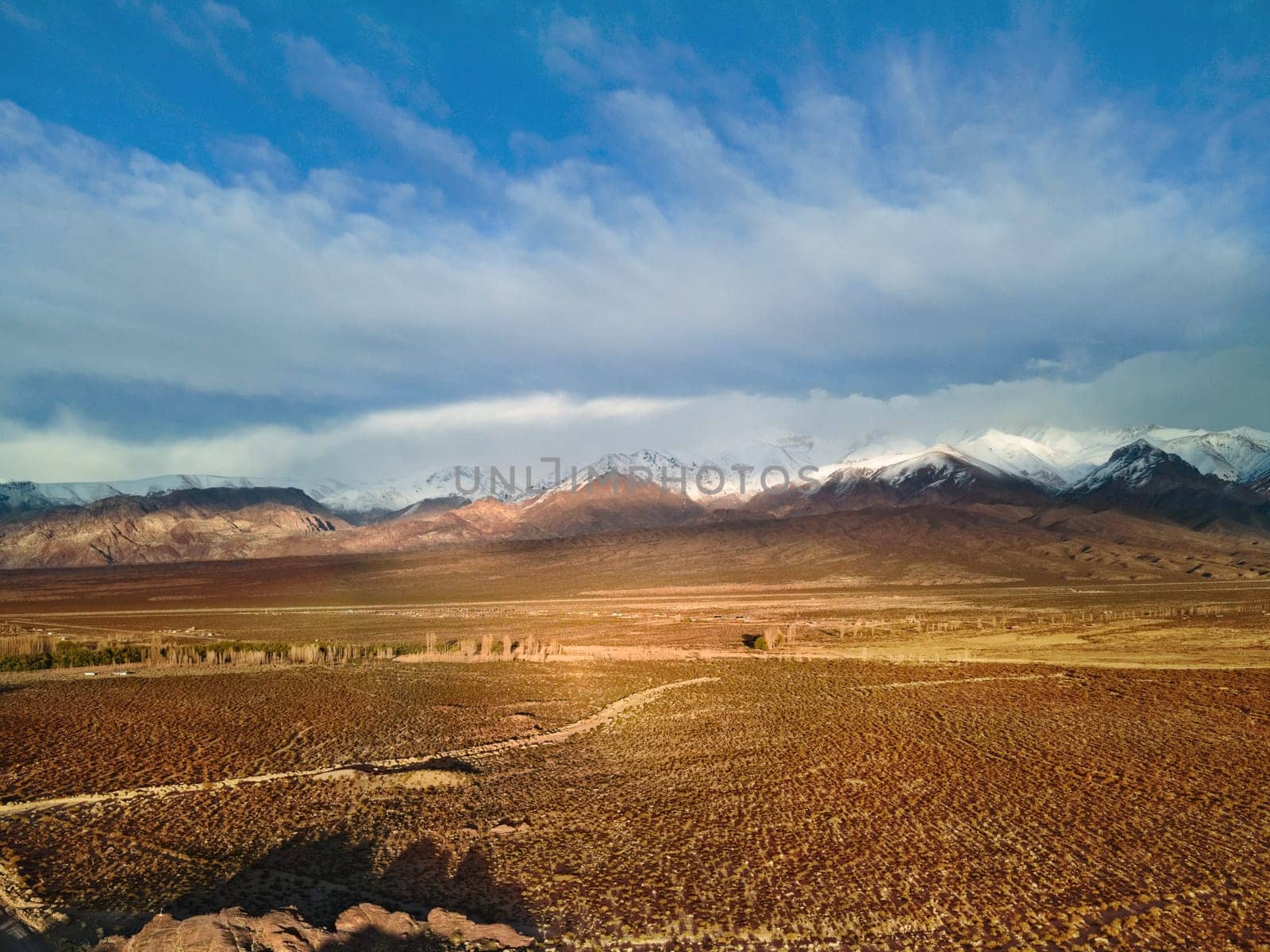 Desert steppe by the Andes mountains near Uspallata, Argentina. Aerial view.