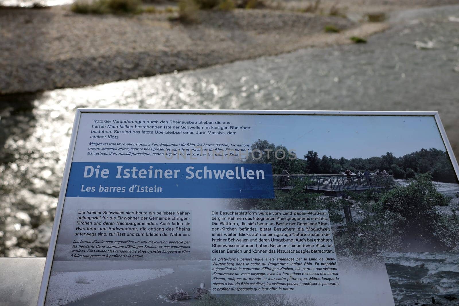 Autumn atmosphere at the Isteiner Schwellen on the Rhine near Efringen-Kirchen (Lörrach district). In bright sunshine,numerous excursionists from Germany and abroad took advantage of the beautiful late summer weather on Sunday to take a trip to the Rhine.