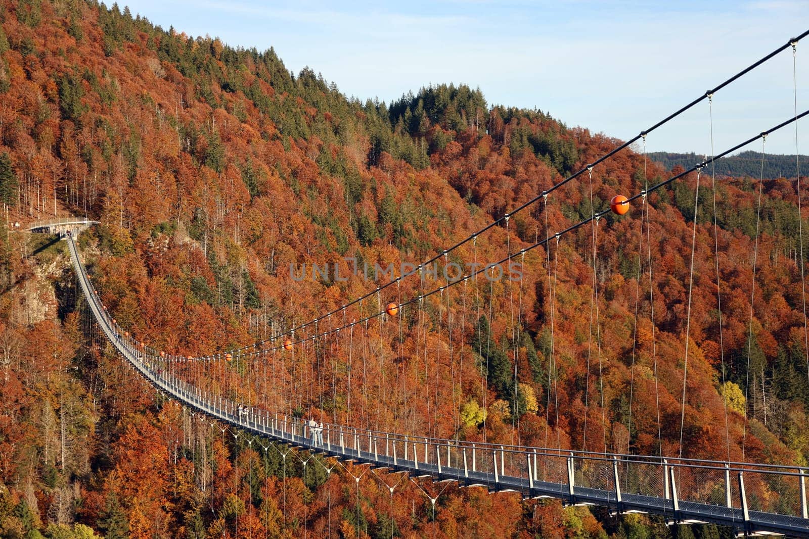 In wonderful late summer weather,visitors were offered a magnificent view and a touch of Indian summer feeling on Sunday during an autumn walk over the 450-metre-long Blackforestline suspension bridge in Todtnau/Todtnauberg (Lörrach district),120 metres above the ground