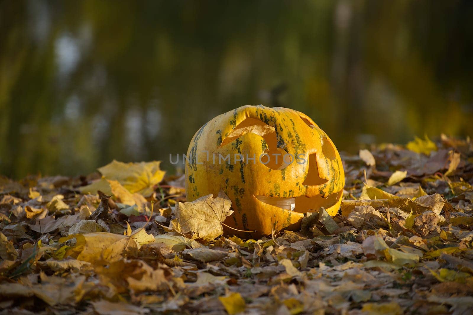 A smiling carved pumpkin sits on a bed of colorful autumn leaves beside a tranquil lakeside. Capturing the essence of Halloween and fall festivities in a serene natural setting