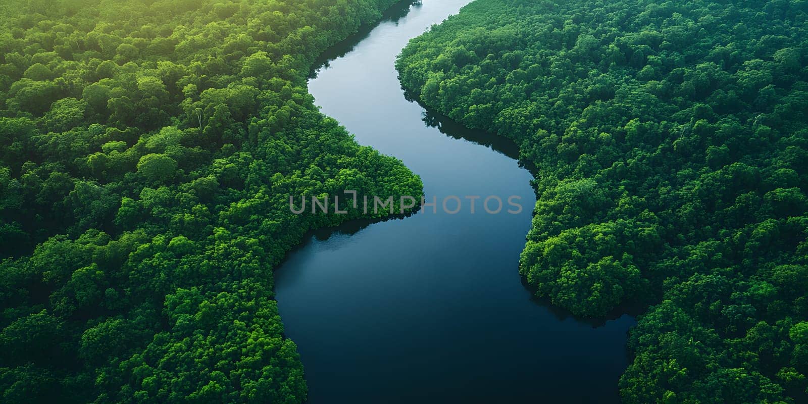 Aerial photography of a summer landscape with a quiet river surrounded by lush green trees, with clear sky reflecting on the water surface. Suitable for advertising for a eco-tourism campaign.