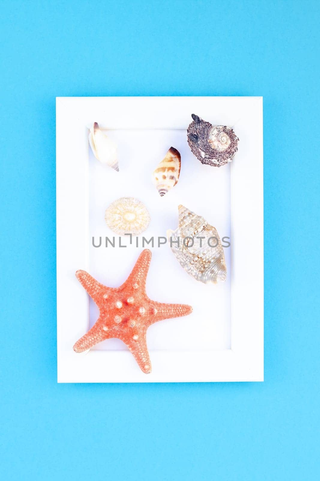 Creative flat lay concept of summer travel vacations. Top view of seashells and starfish on turquoise blue background with white frame mock up and copy space in minimal style, template for text