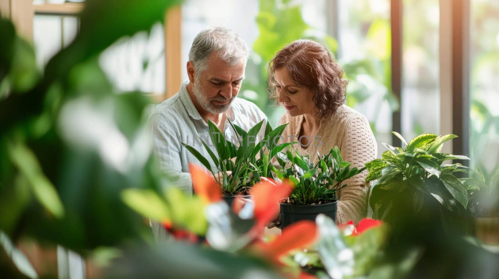 Couple caring houseplants at home. Caucasian mature man and woman with green plants, AI Generated