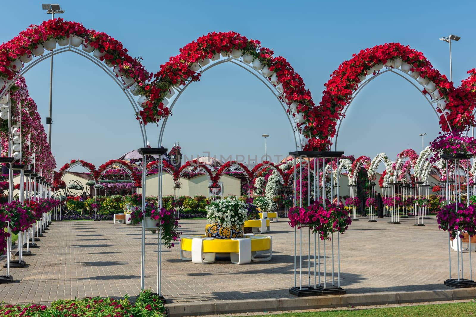 UAE, DUBAI - DECEMBER 30: dubai miracle garden with over million flowers on a sunny day December 30, 2014