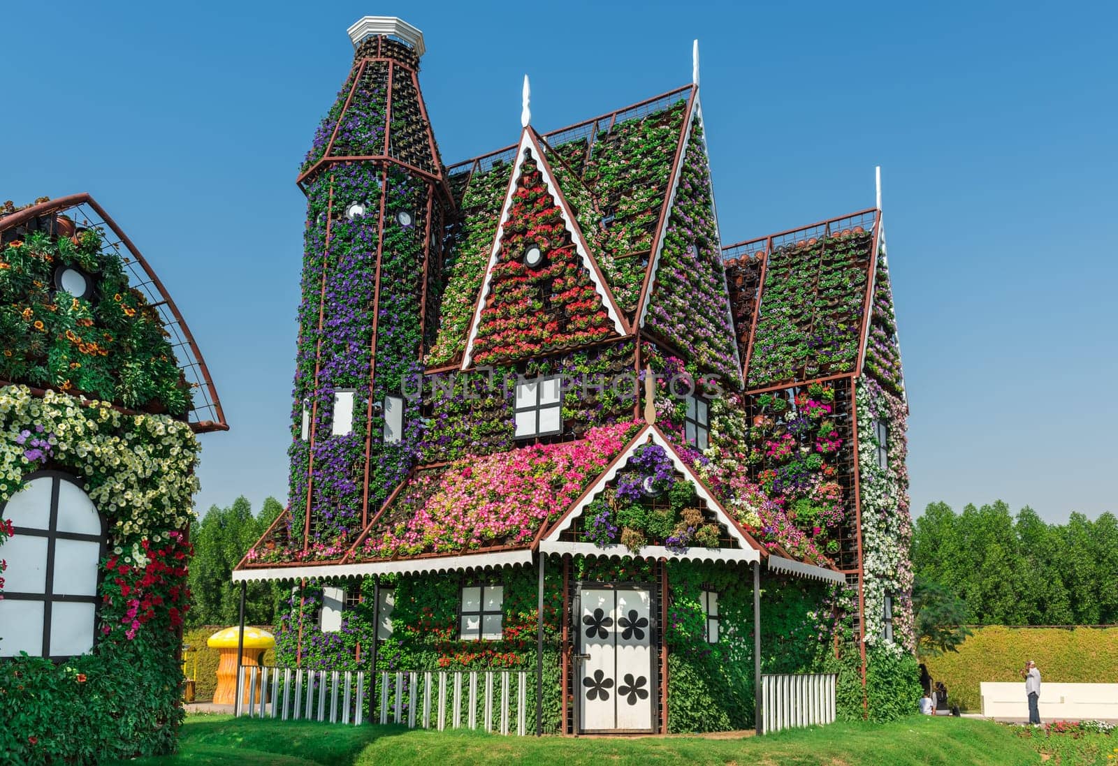 UAE, DUBAI - DECEMBER 30: dubai miracle garden with over million flowers on a sunny day December 30, 2014