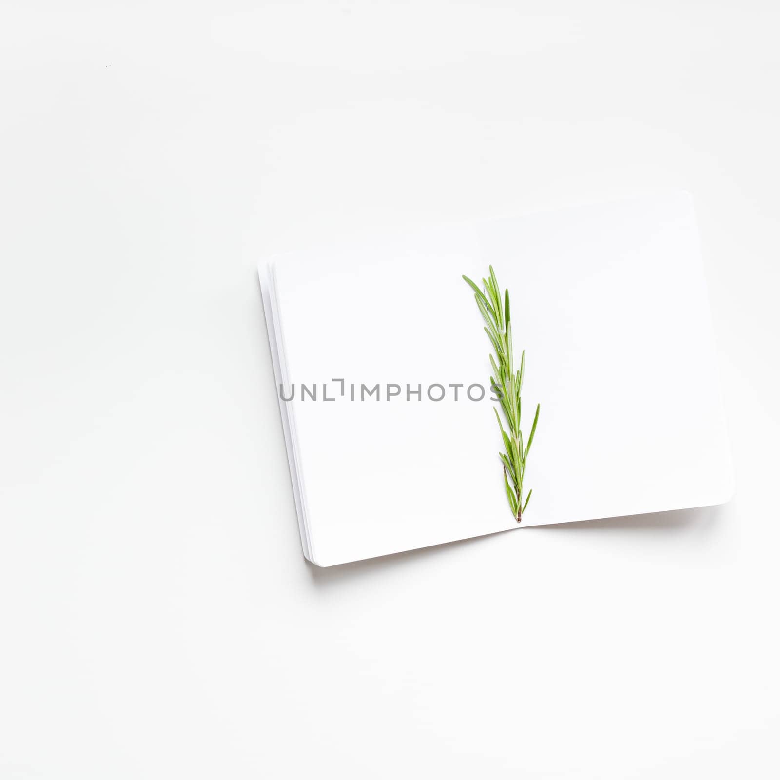 Flat lay overhead view blank notebook pages mockup text space invitation card on white background with rosemary twig. Menu or recipe book or food blog design with cooking ingredients