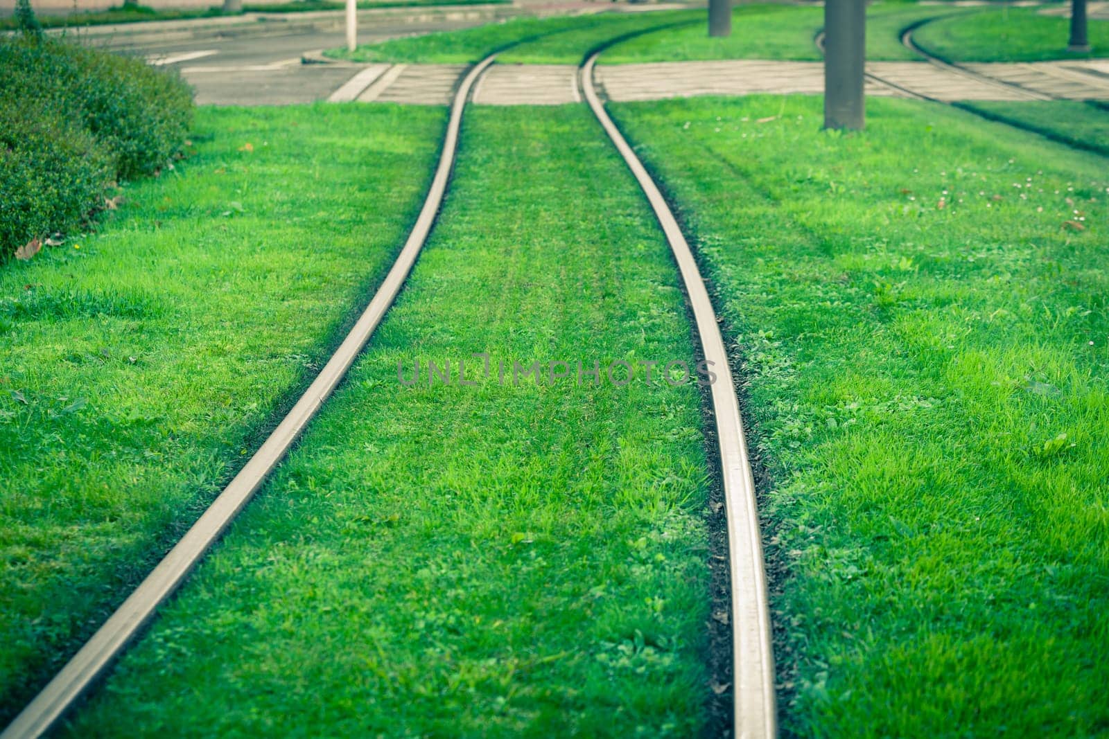 Tram rails covered with green grass lawn in Bilbao, Spain