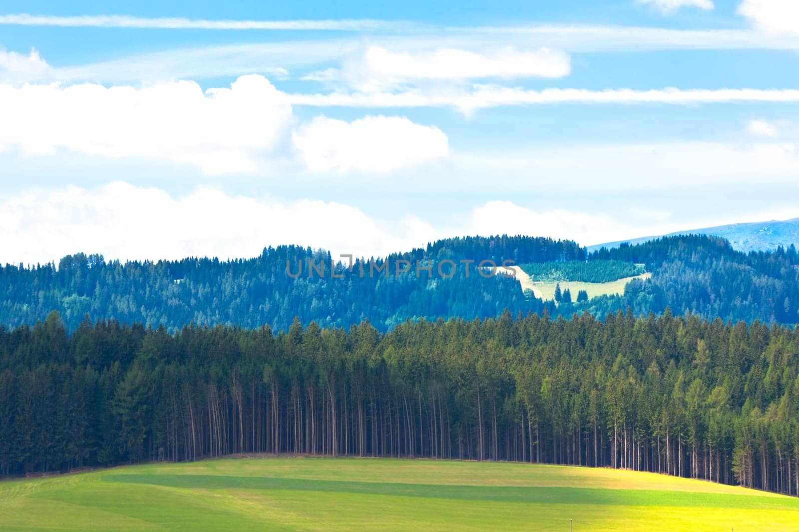 Summer Alps Landscape: Forest and Hills. Horizontal shot