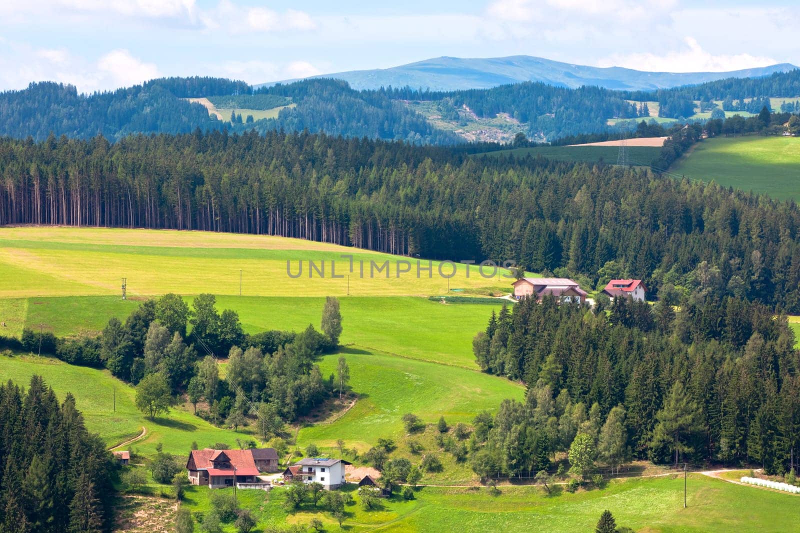 Summer Alps Landscape: Forest, Village and Mountains