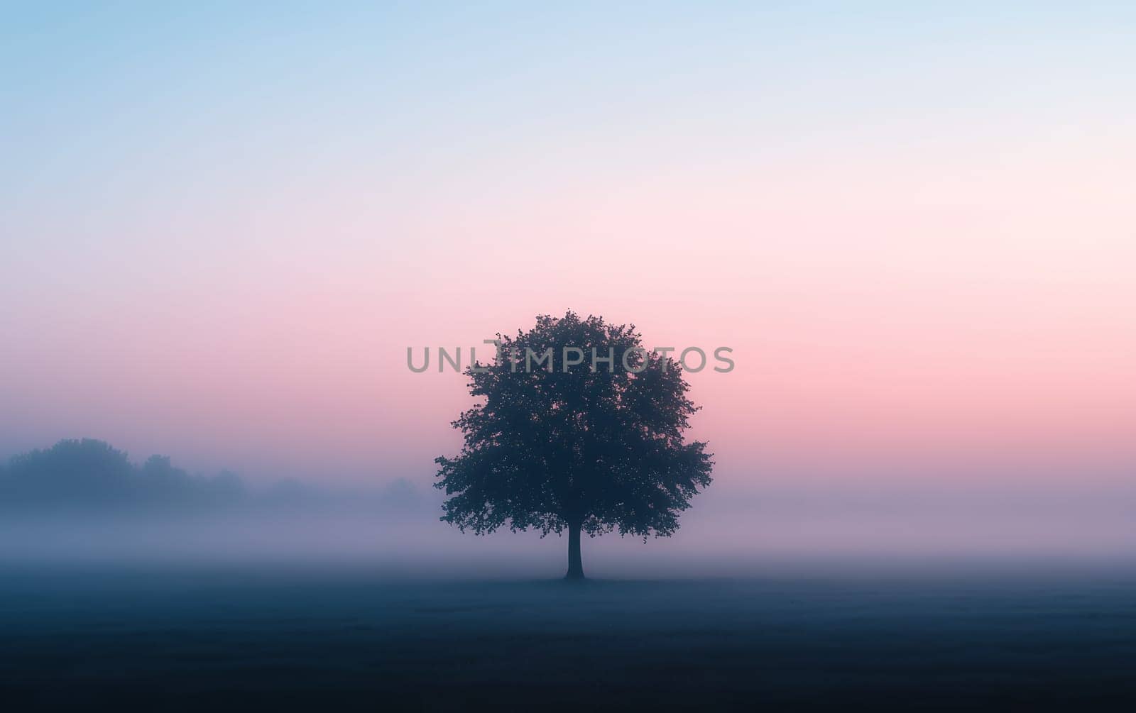 A solitary tree stands silhouetted against a pastel sky at dawn, surrounded by a misty field creating a serene and ethereal atmosphere.