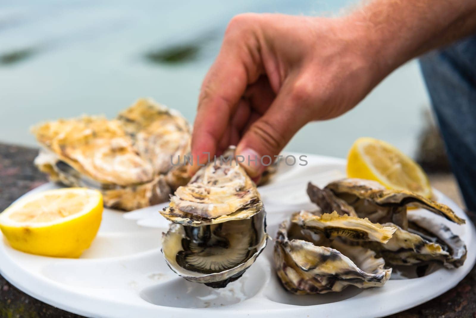 Male hand holding oysters on a plastic plate near the sea