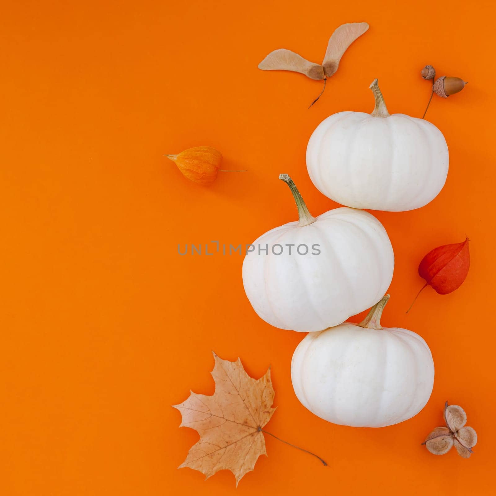 Autumn flat lay composition with white pumpkins and dry leaves on bold orange color background. Creative autumn, thanksgiving, fall, halloween concept. Top view, copy space
