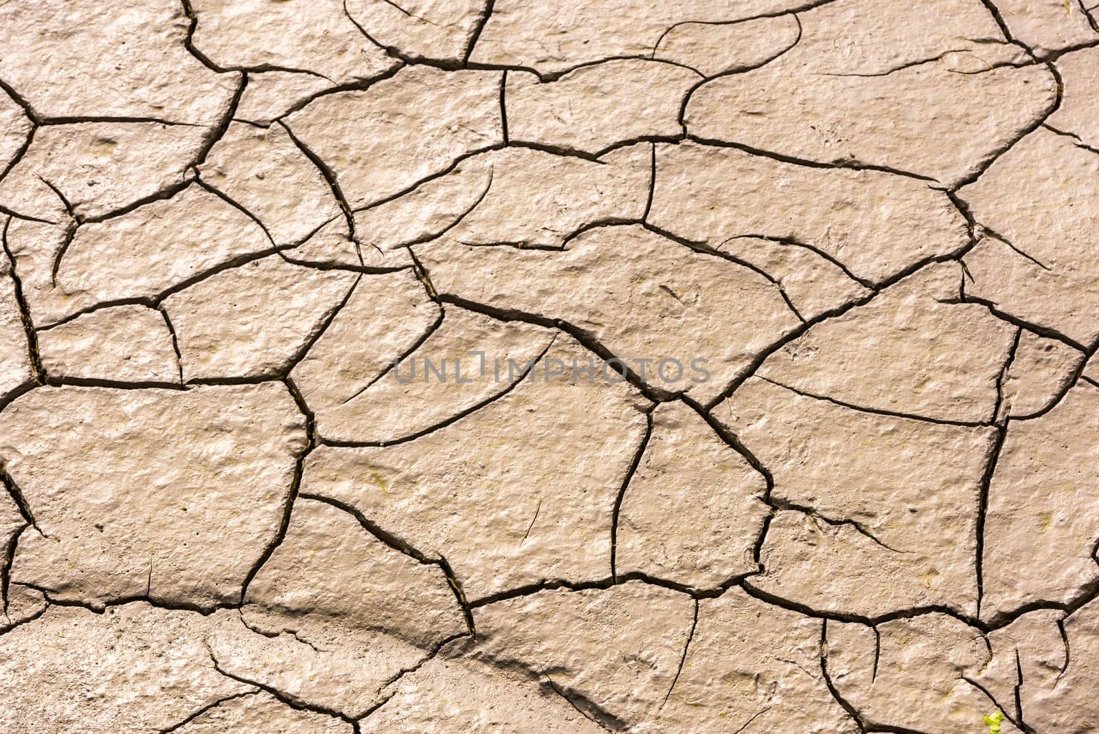 details of a dried cracked earth soil. background