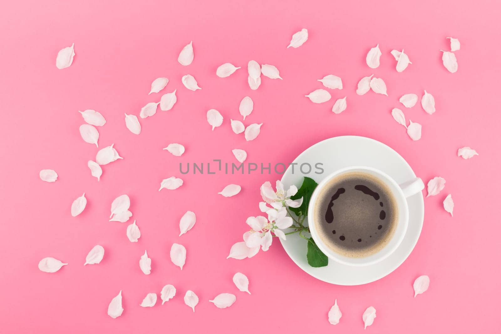Creative flat lay concept top view of coffee cup and white apple tree flowers petals on pastel pink background with copy space in minimal style, template for text