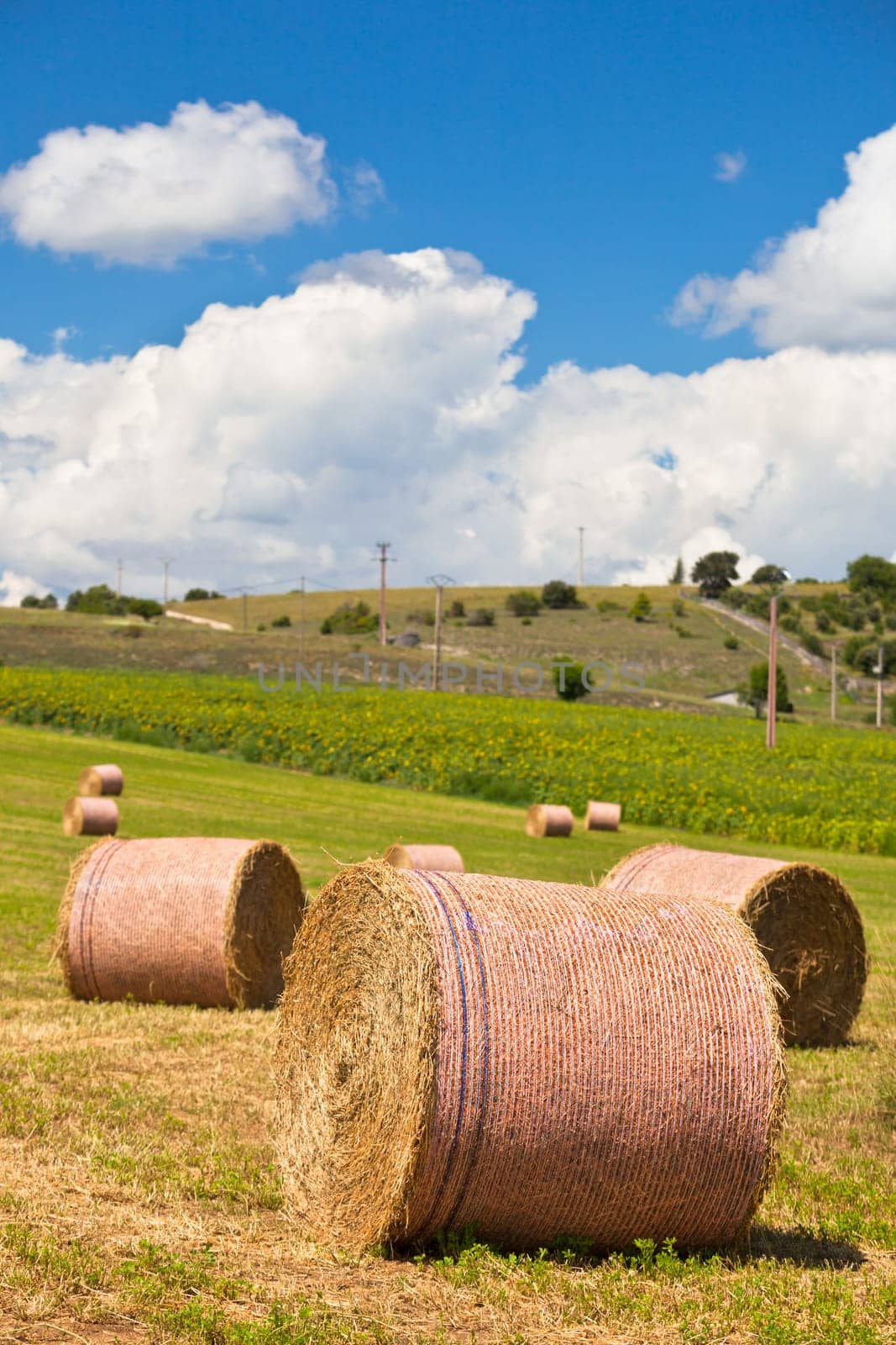 Rural landscape with Farmland and Straw bales in Provence, France. Selective focus