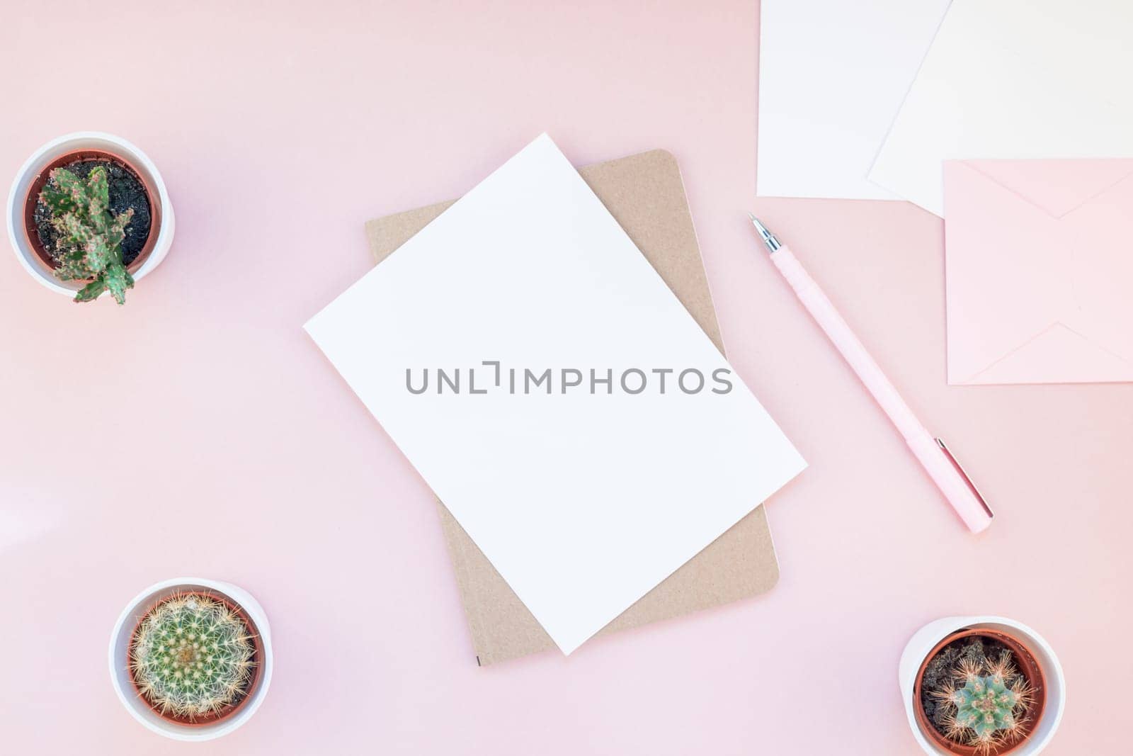 Top view flat lay of workspace desk styled design office supplies and cactuses succulents with copy space millennial pink color paper background minimal style. Template for feminine blog social media
