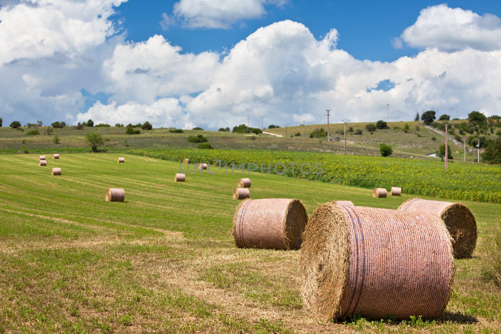 Rural landscape with Farmland and Straw bales in Provence, France