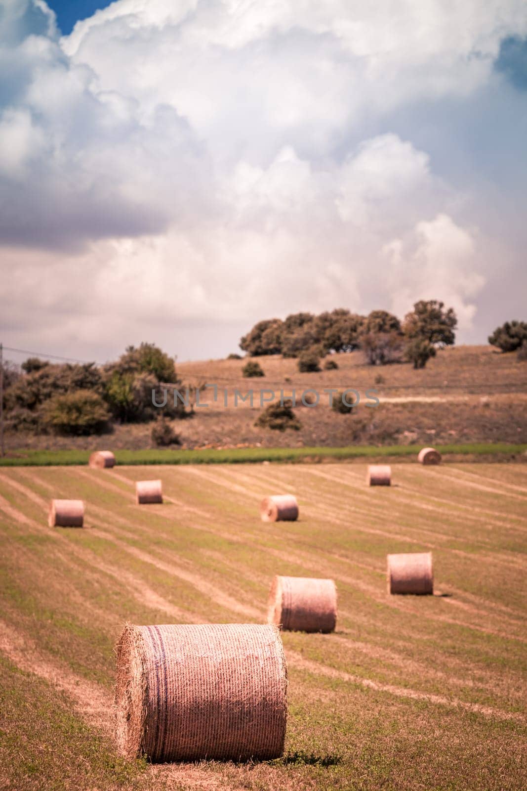 Rural landscape with Farmland and Straw bales in Provence, France. Selective focus