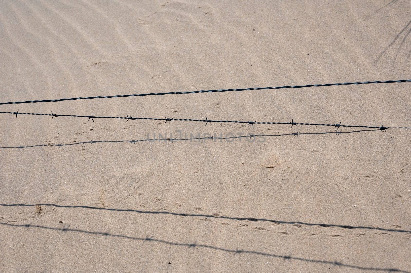 Barbed wire fence in the sand dunes