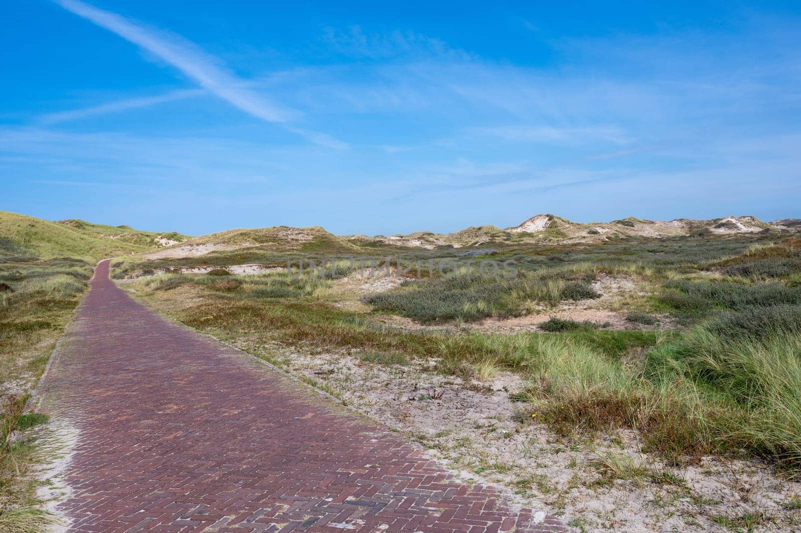 Cycling and hiking trails in a dune landscape, in a nature reserve near Egmond aan Zee in the Netherlands