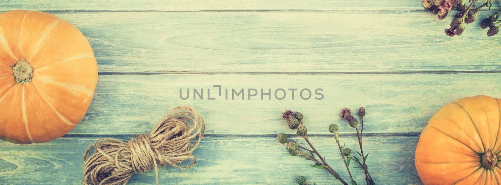 Top view of autumn orange pumpkins and dry flowers and grass thanksgiving background over blue toned wooden table with copy space. Template for fall harvest mood text. Long wide banner