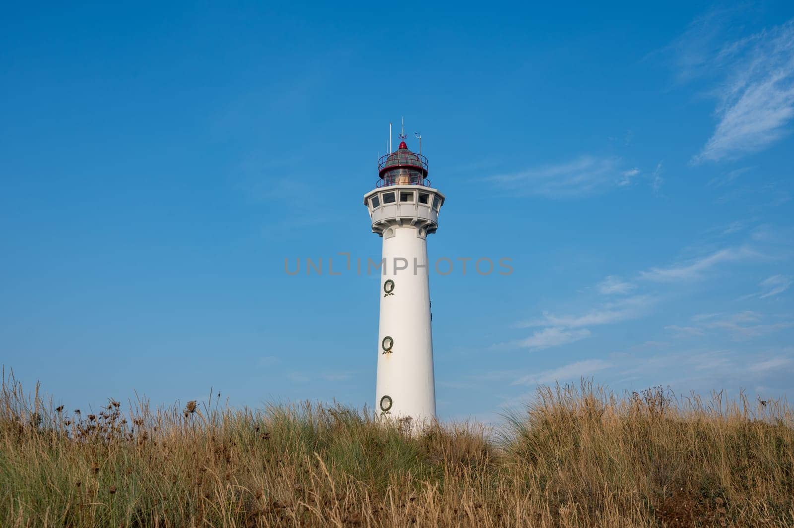 The approx. 28 m high white lighthouse J.C.J. van Speijk in Egmond aan Zee, North Holland, Netherlands, in the sand dunes with beach grass