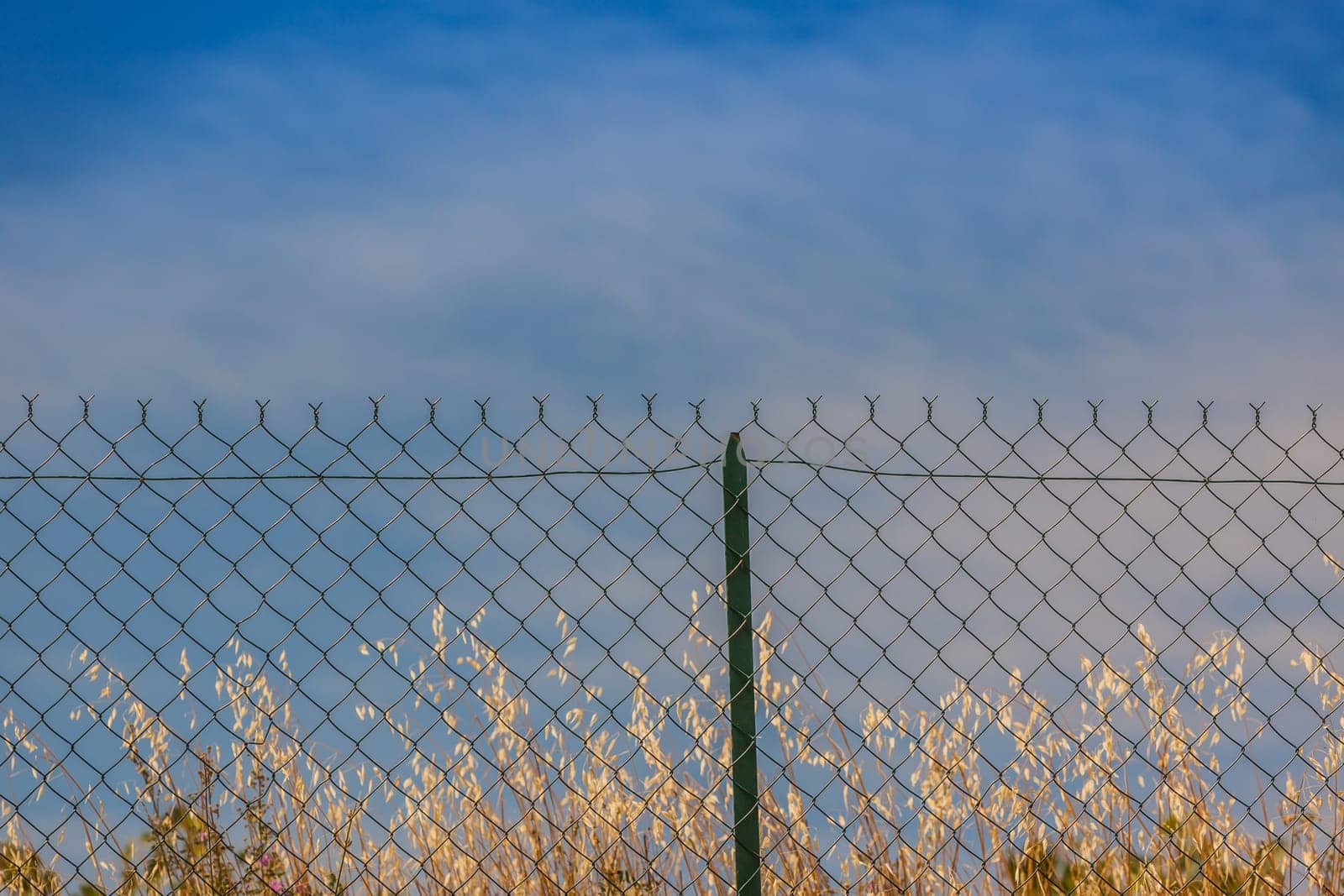 Razor and barbed wire fence. Forbidden place
