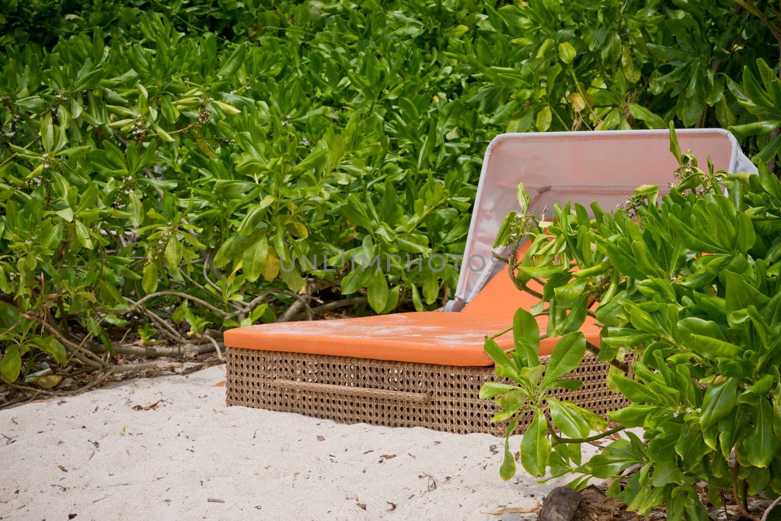 beach bed on white sand among palm trees in full sun