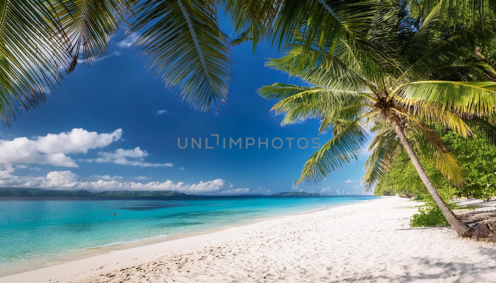 tropical beach landscape with palm trees by the sea