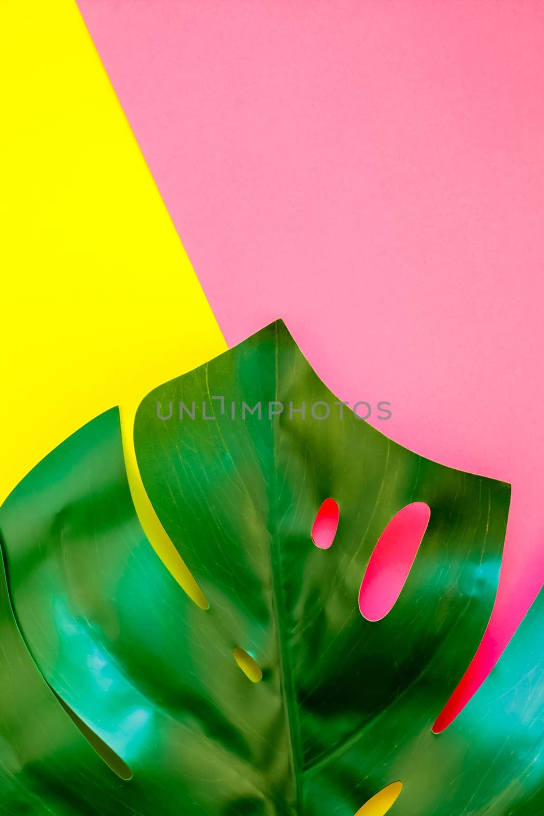 Tropical jungle palm monstera leaves on bright yellow and pink paper background. Summer creative flat lay concept template for text