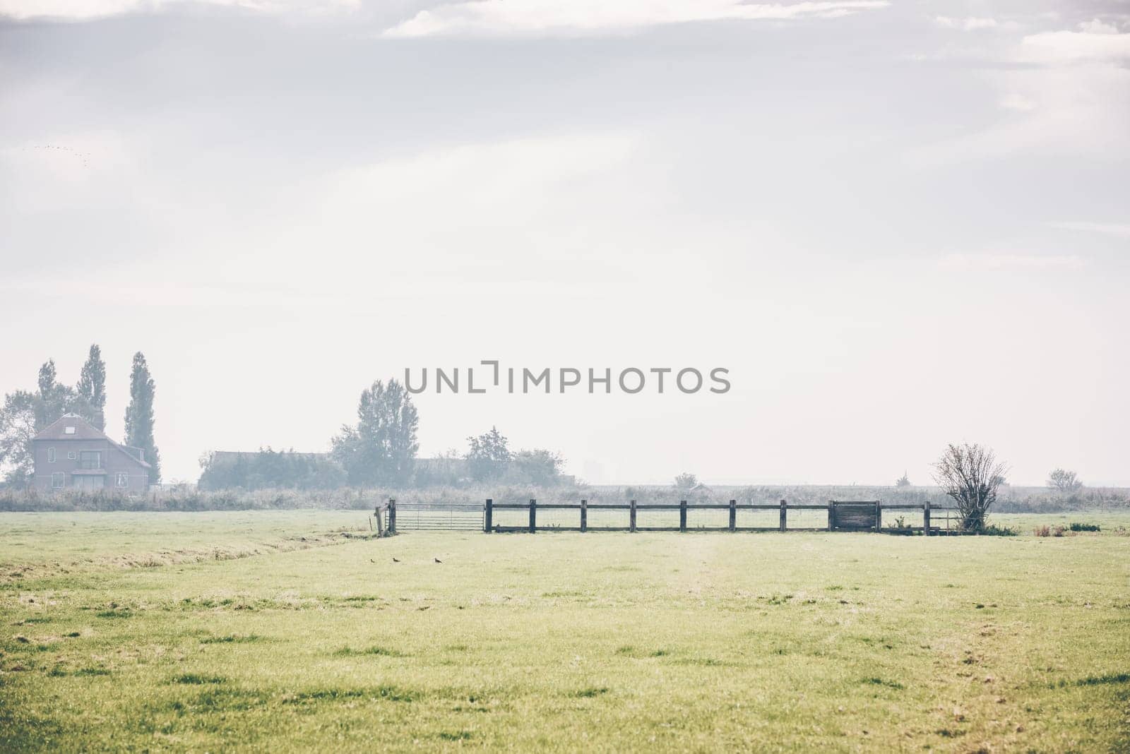 Dutch wide open rural landscape with farm in the field. the Netherlands