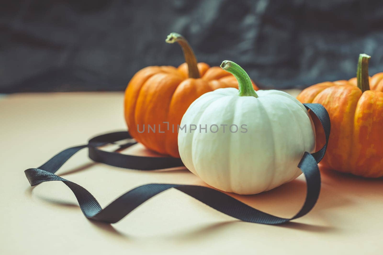Autumn orange and white pumpkins thanksgiving halloween black ribbon background wooden box with copy space. Template for fall harvest mood text